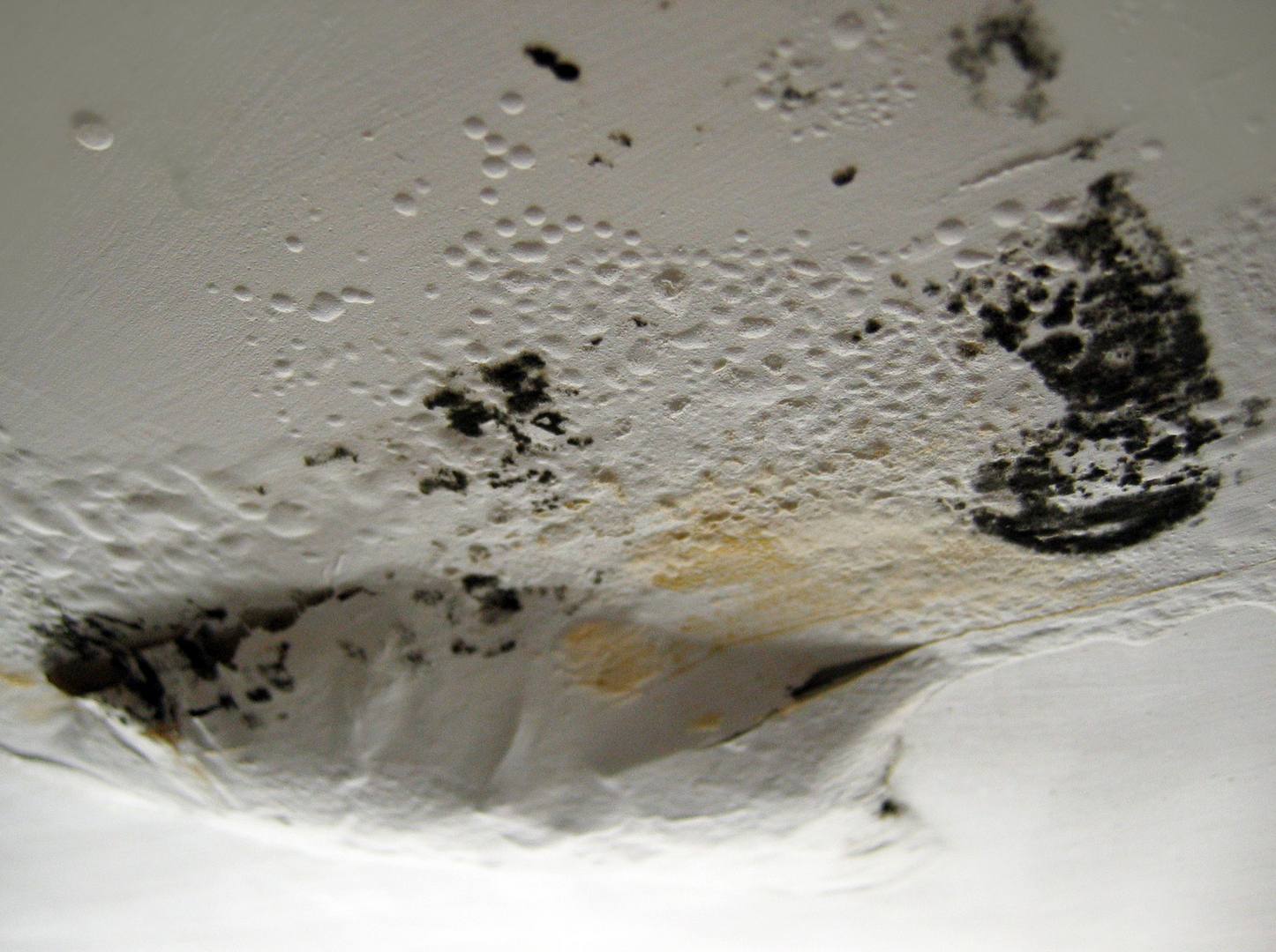 Homeowner with a shop vac next to a small water leak