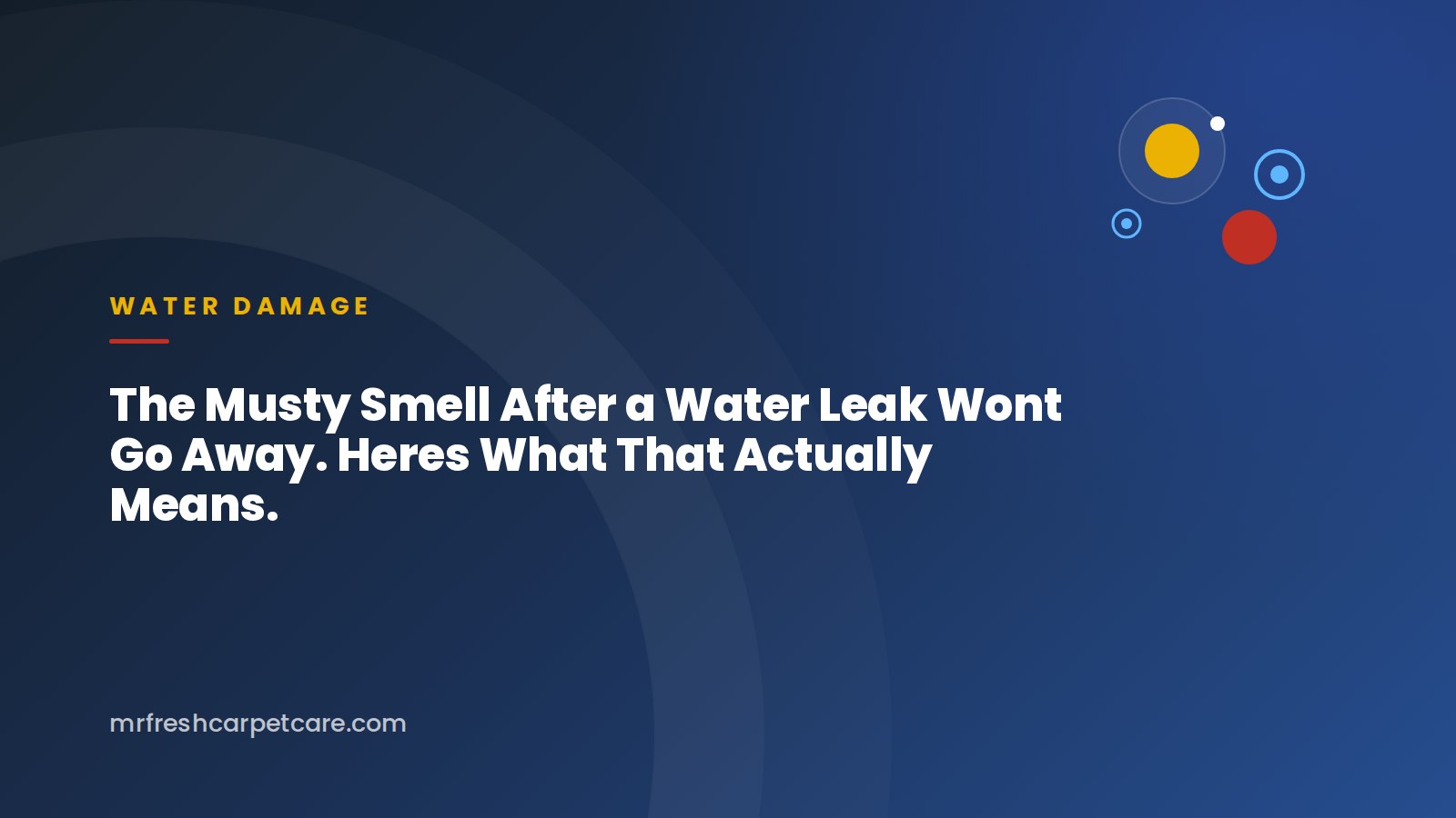 The Musty Smell After a Water Leak Wont Go Away. Heres What That Actually Means.