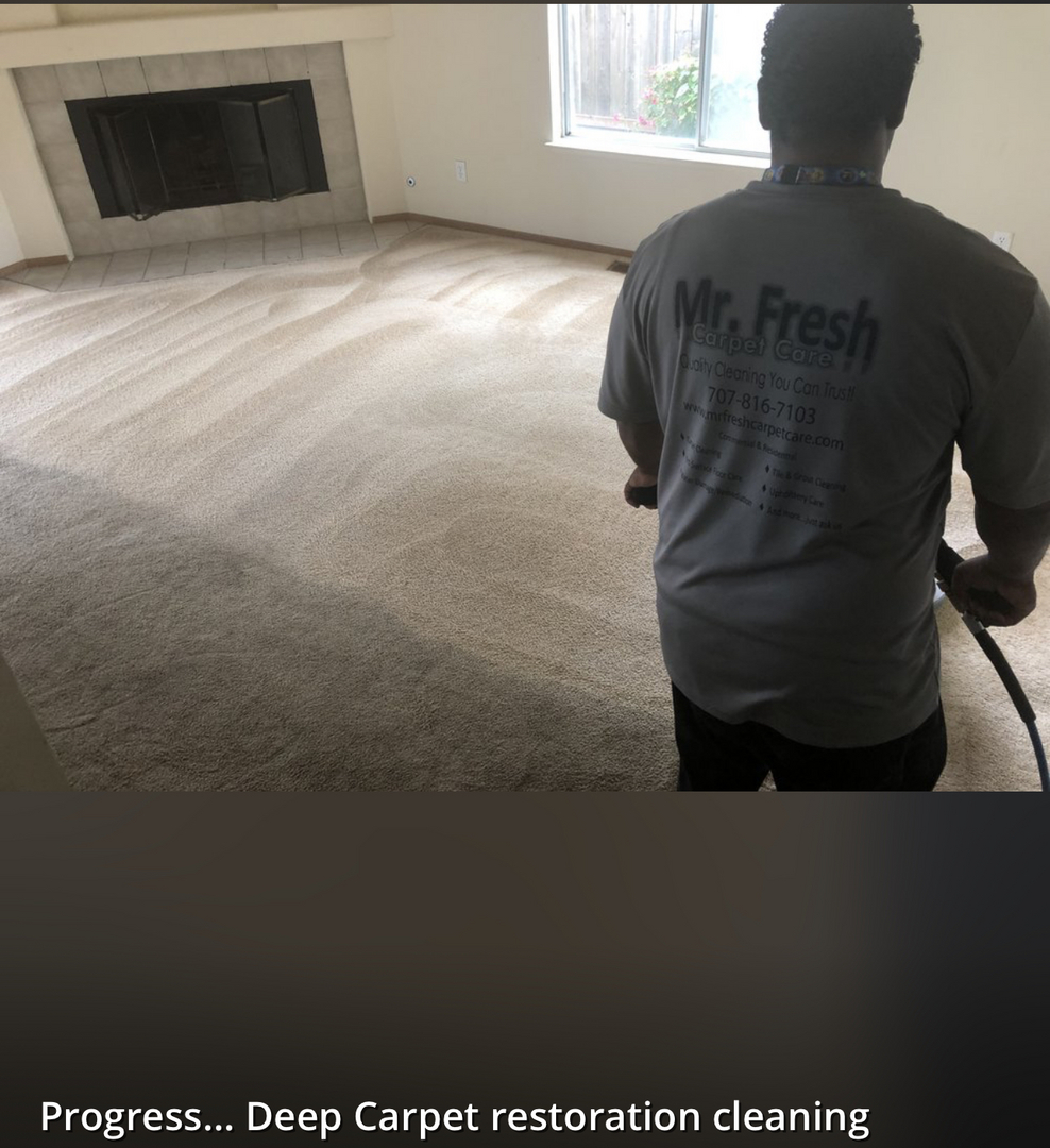 Rug & Upholstery Care